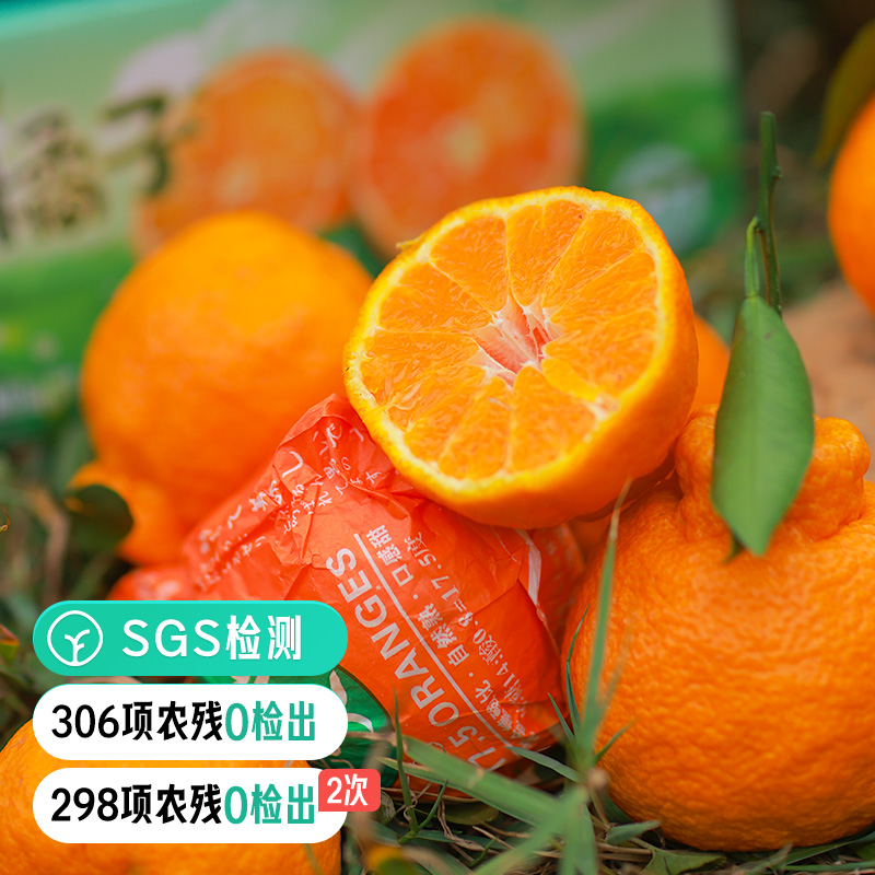 远方私家果园的丑橘