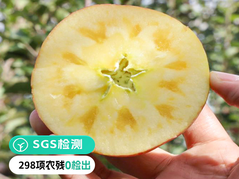 新疆阿克苏苹果SGS检测报告