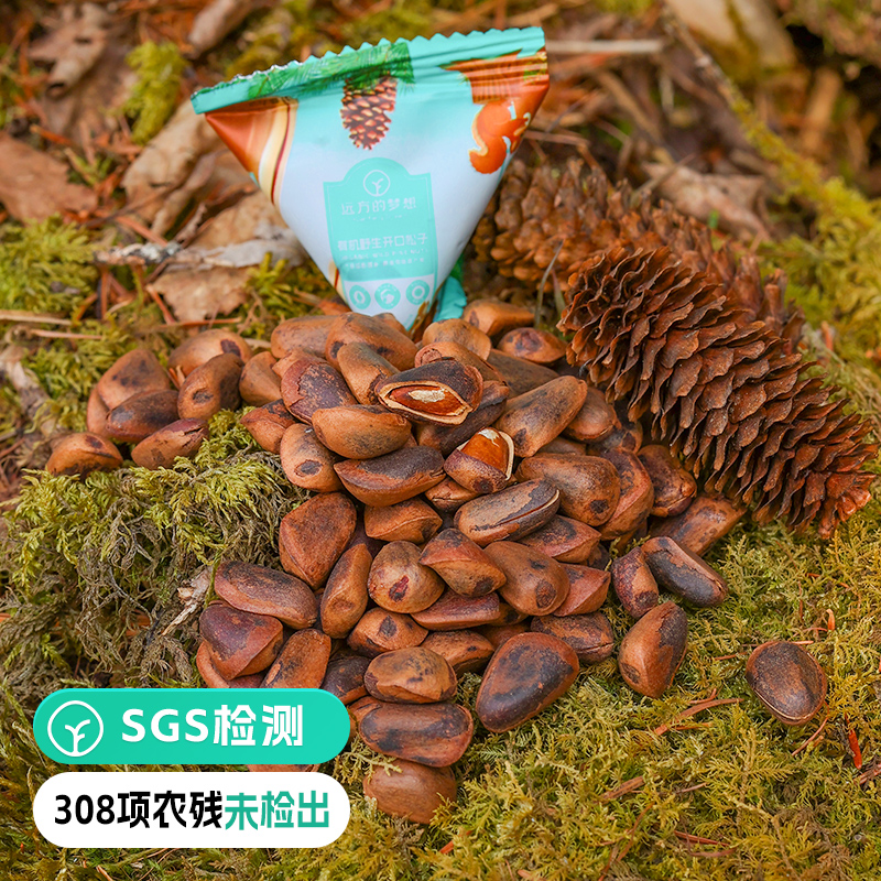 有机野生红松果仁松子