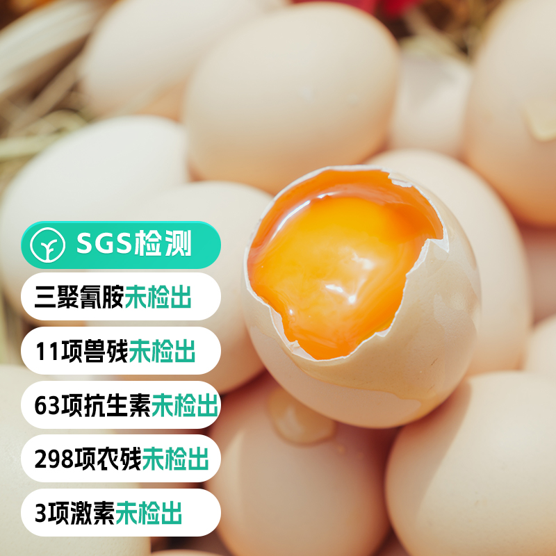 远方有机土鸡蛋