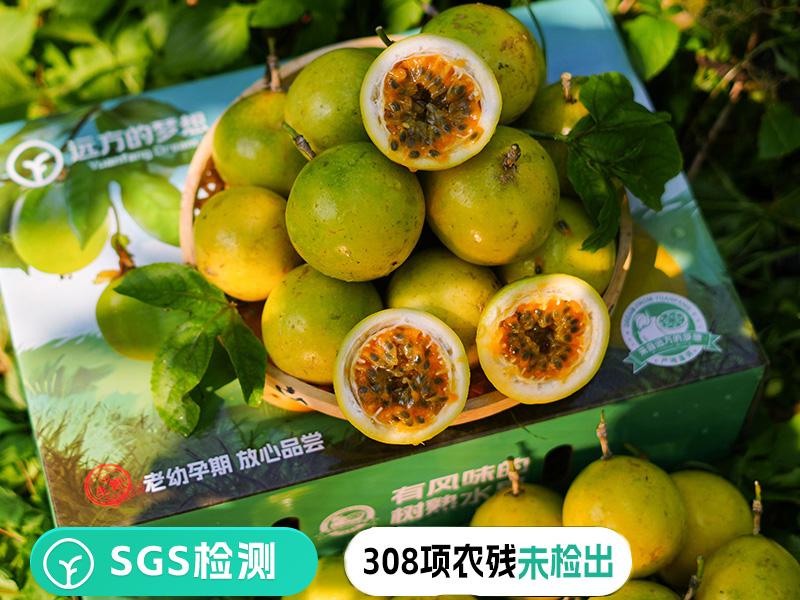 有机百香果SGS检测报告